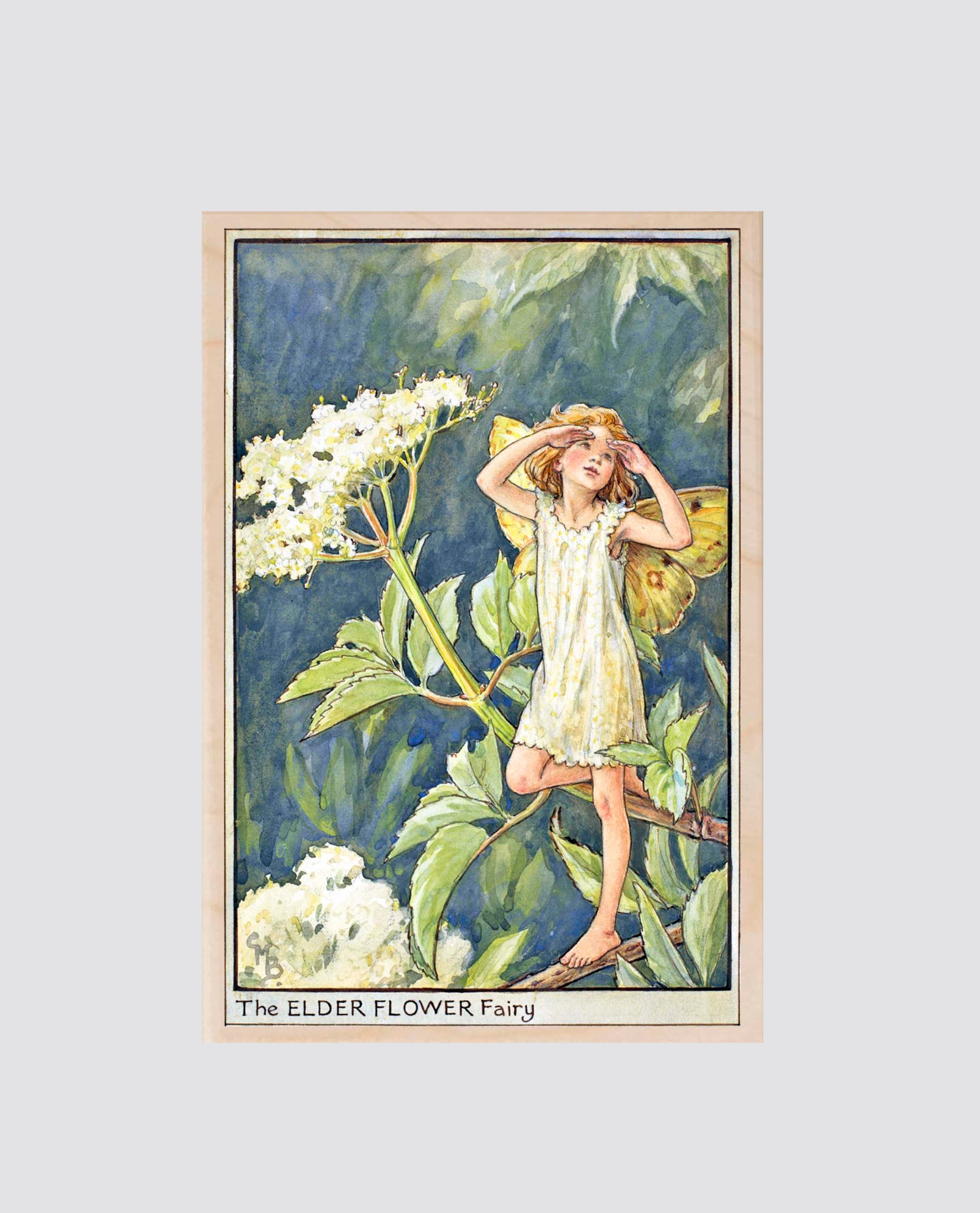 Illustration of a delicate girl fairy with yellow wings standing on elderflower branches, wearing a simple vintage-style dress in soft natural tones.