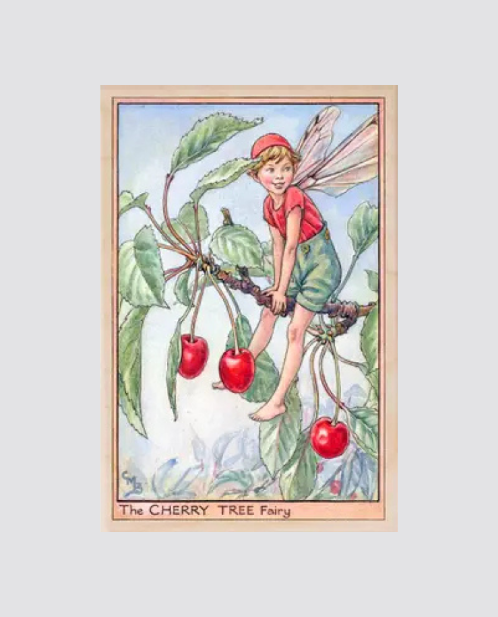Vintage-style illustration of a cheerful flower fairy with delicate wings perched on a cherry tree branch, surrounded by ripe red cherries and green leaves.