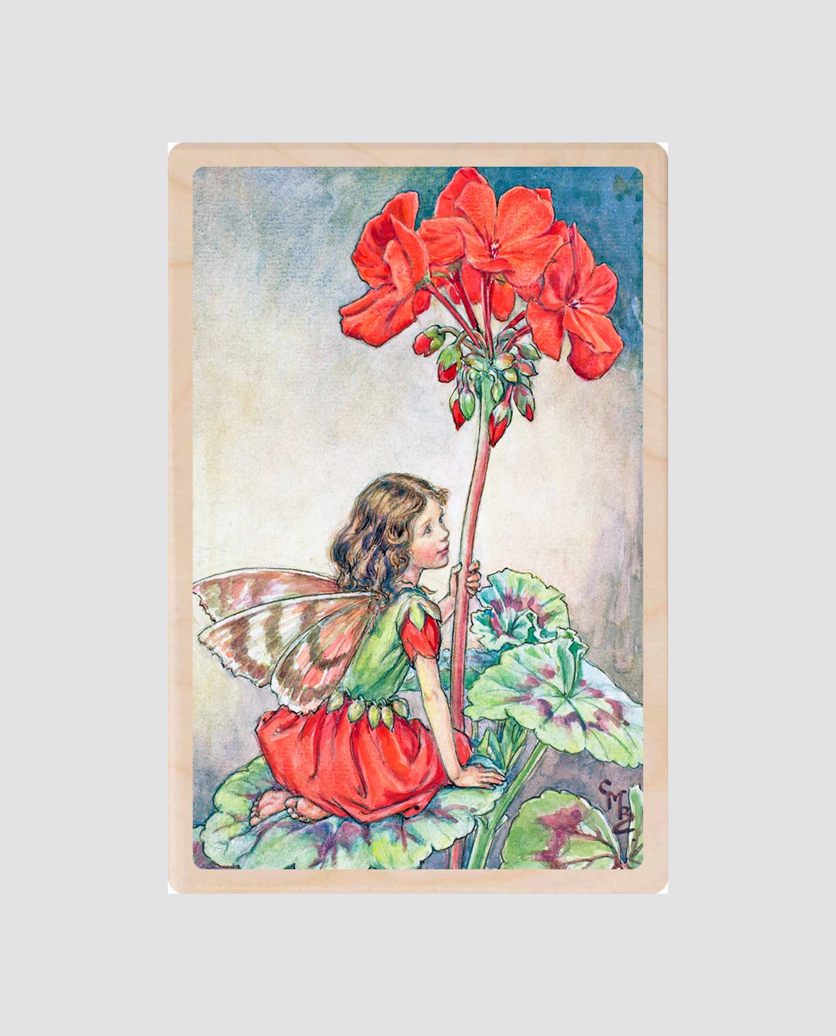 Vintage-style illustration of a delicate flower fairy in a red dress sitting on green leaves, holding a vibrant geranium bloom in a natural, gentle scene.