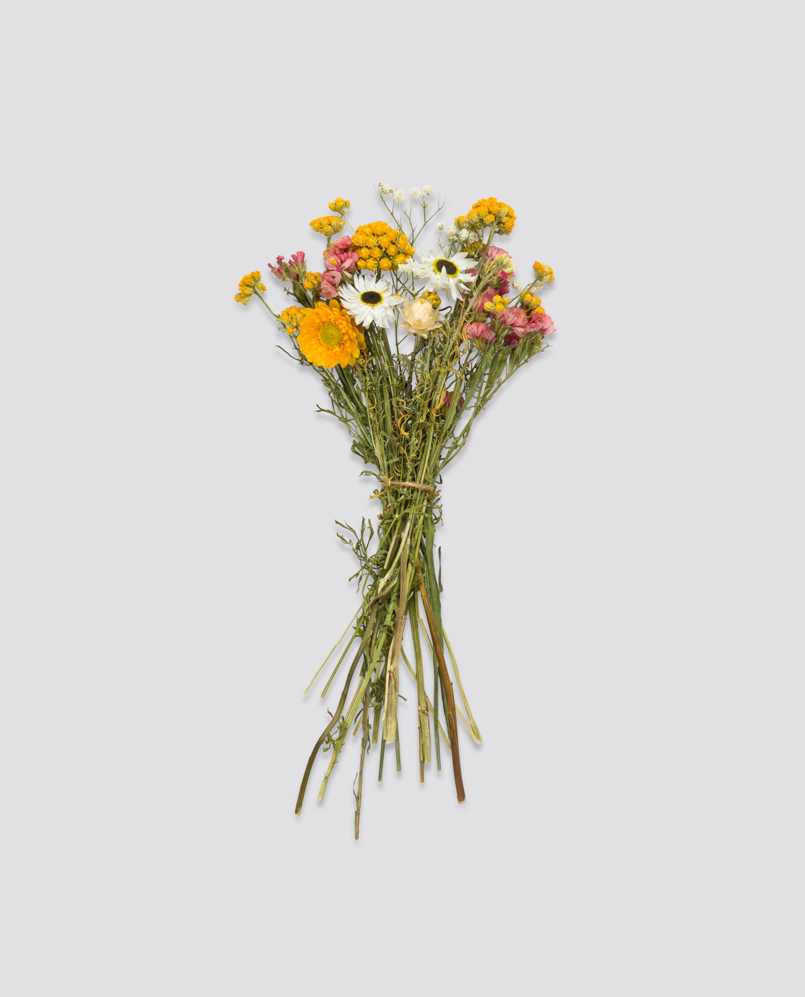 Bunch of locally grown dried wildflowers in soft pinks, whites, and yellows, showcasing a natural, organic touch perfect for a slow, vintage-inspired children's clothing brand.
