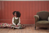 Little Cotton Clothes AW25 223.jpg