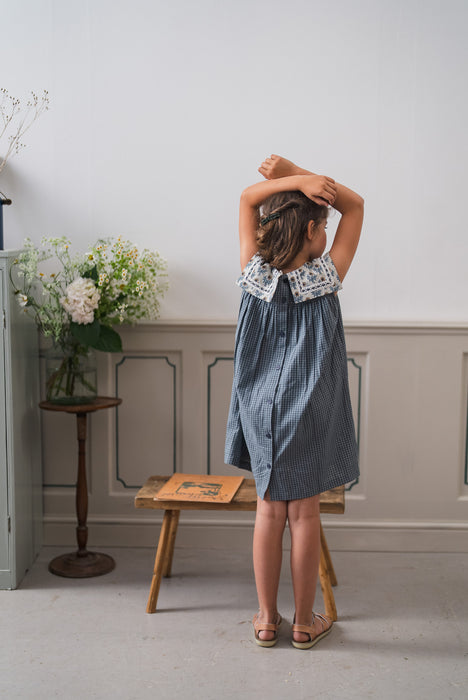Organic Nola Dress - Little Blue Check