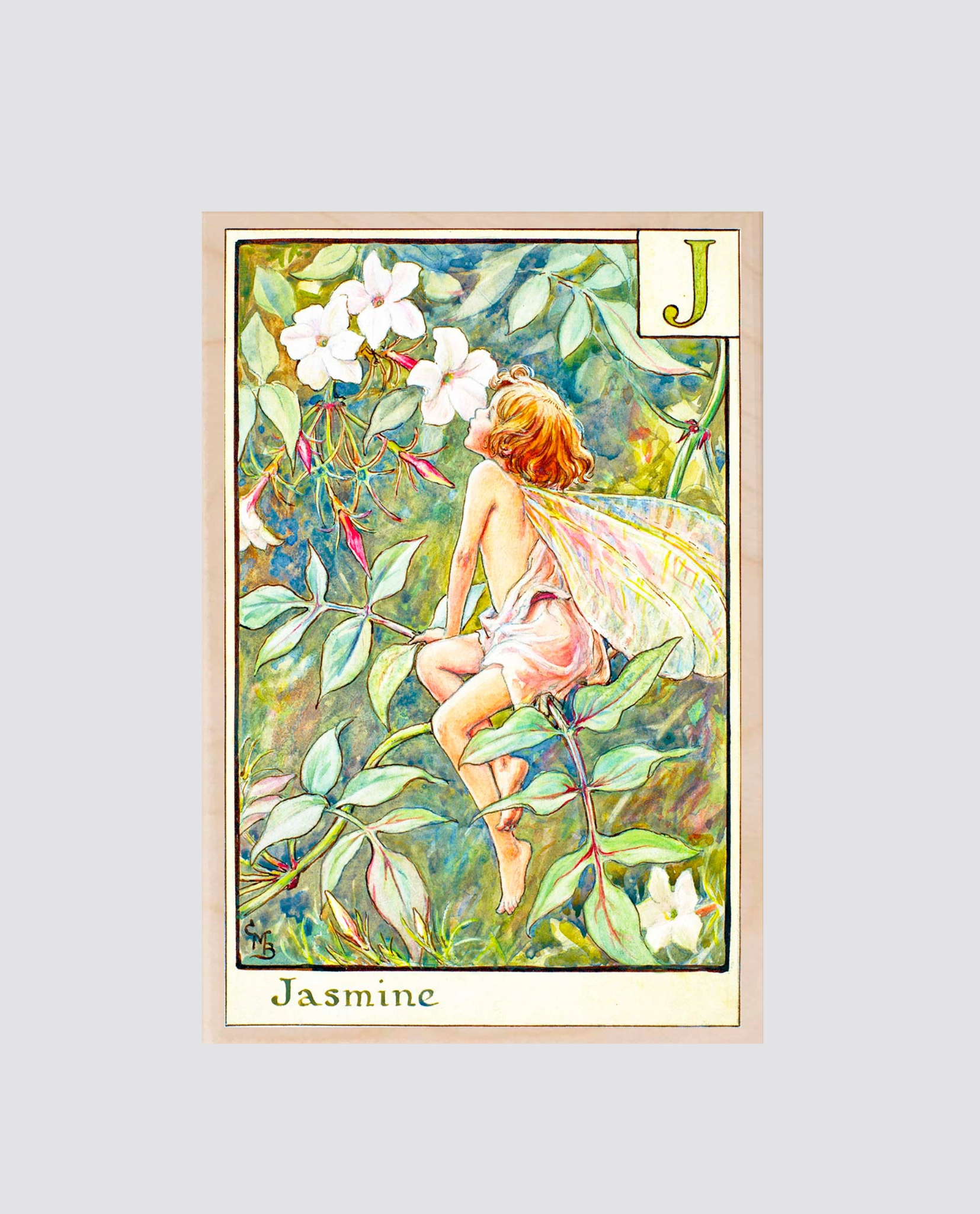 Illustration of a delicate wooden postcard featuring a vintage-style flower fairy with soft wings surrounded by jasmine flowers, evoking a natural and gentle feel.