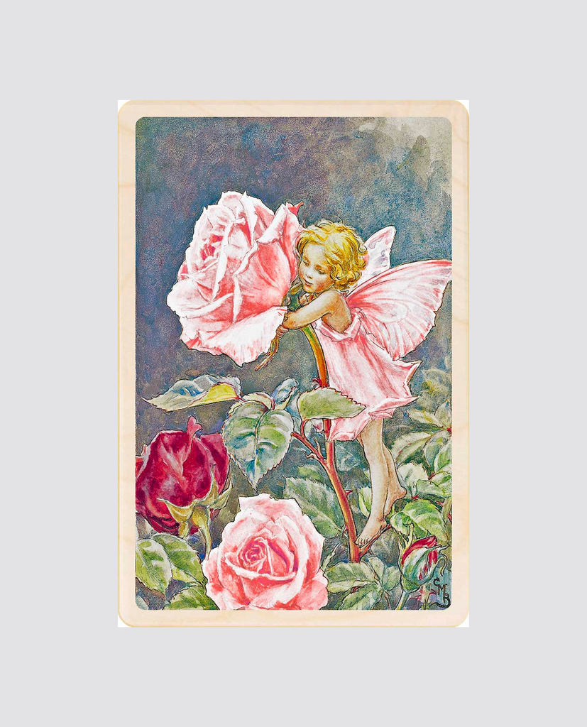 Flower Fairies: The WILD ROSE FAIRY Vintage Print c1930 by Cicely Mary Barker Flower Fairies: The WILD ROSE FAIRY Vintage Print c1930 by Cicely Mary Barker